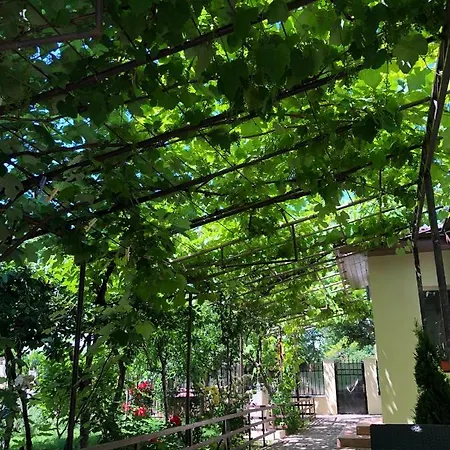 בית הארחה Casa Lui Mamaia *